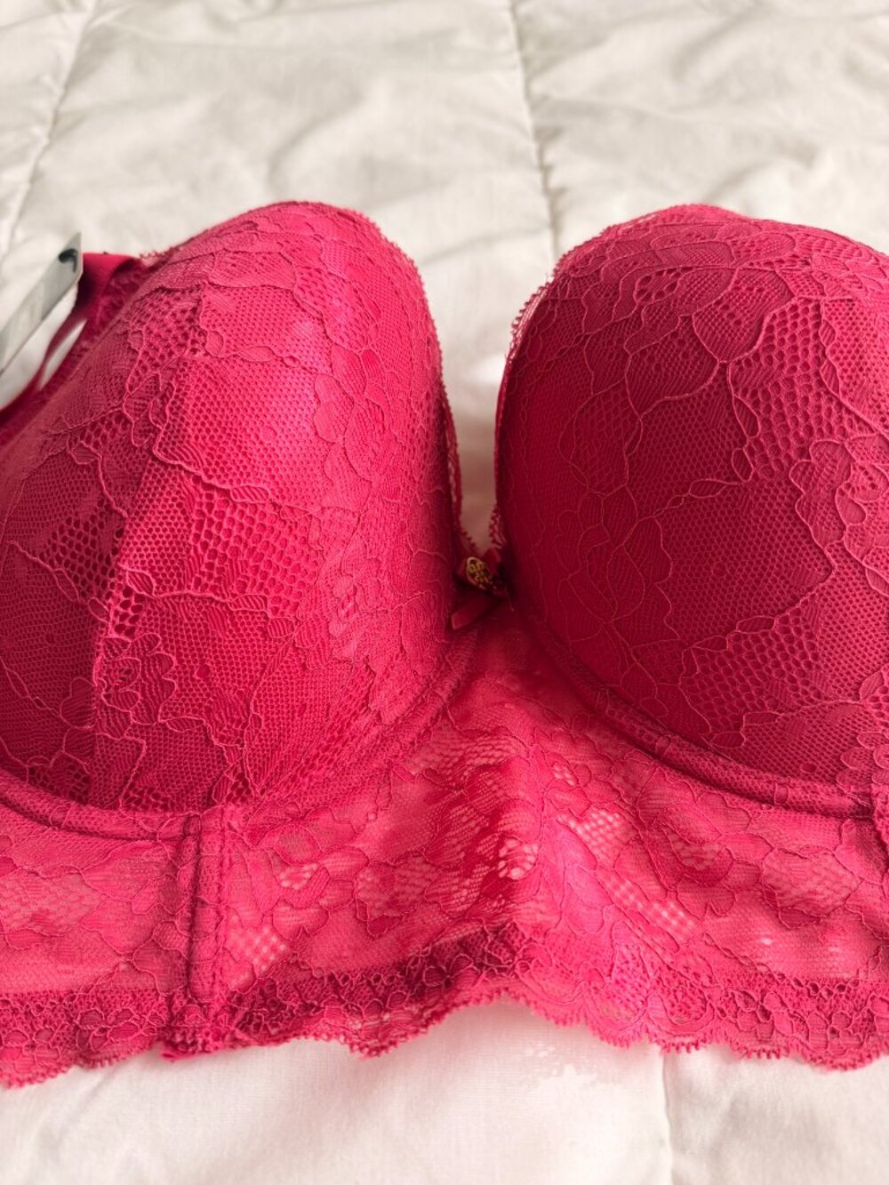 Dear Apparels Lace Push-Up Bra, 38DD, NWT